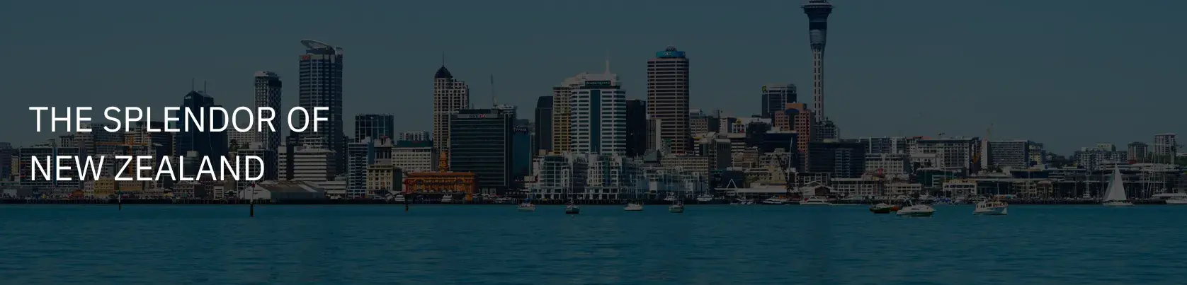 The Splendor of New Zealand